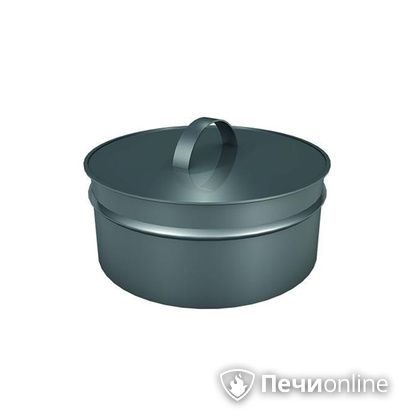 Заглушки Теплов и Сухов Заглушка ревизии Термо-Р 304 0.5 D300(200) в Калининграде