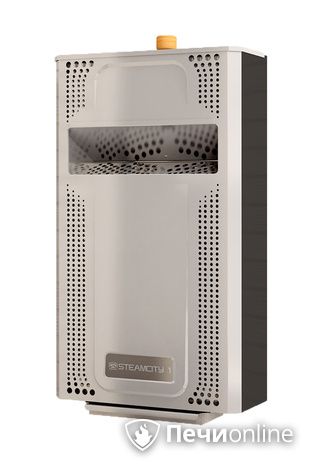 Электрическая печь Теплодар SteamCity-2 в Калининграде