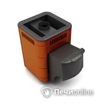 Дровяная банная печь TMF Оса Carbon терракота дверь антрацит в Калининграде
