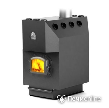 Печь-буржуйка TMF Профессор с чугунной дверцей со стеклом твердотопливная в Калининграде